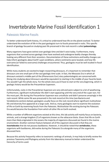 Invertebrate Marine Fossil Identification lab activity first page preview