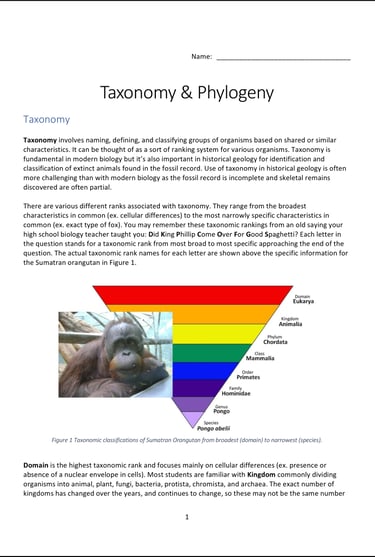 Taxonomy & Phylogeny lab activity first page preview