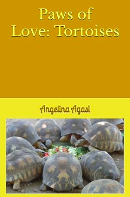 A boy welcomes two tortoises—discovering patience, responsibility, and quiet connection.