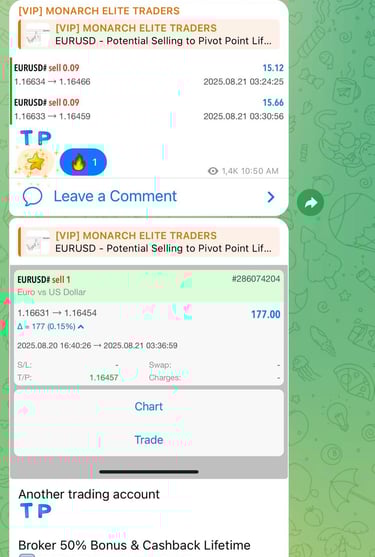 Komunitas forex gratis untuk belajar trading dan copy trade bersama