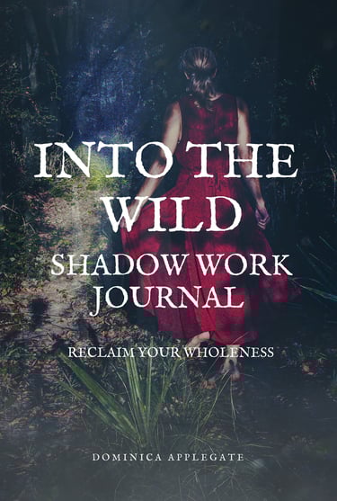 into the wild shadow work journal