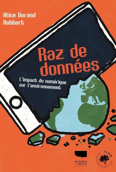 Première de couverture du documentaire Raz de donnée d'Alice Durand et Robbert