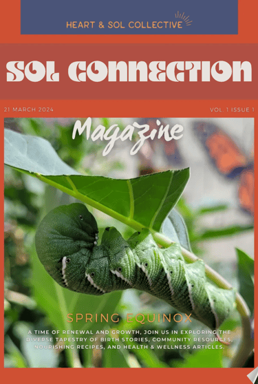 Sol connection magazine cover volume 1 issue 1