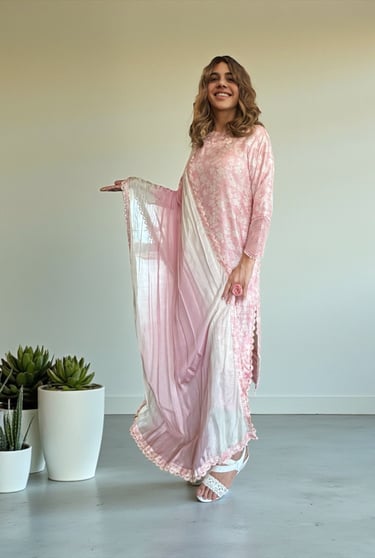 Light Pink Embroidered Silk Dress – Sana Zee