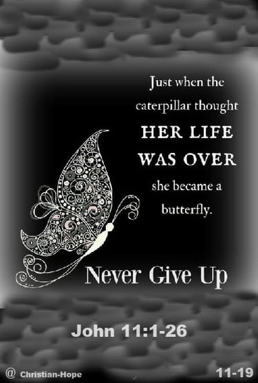 Never Give Up