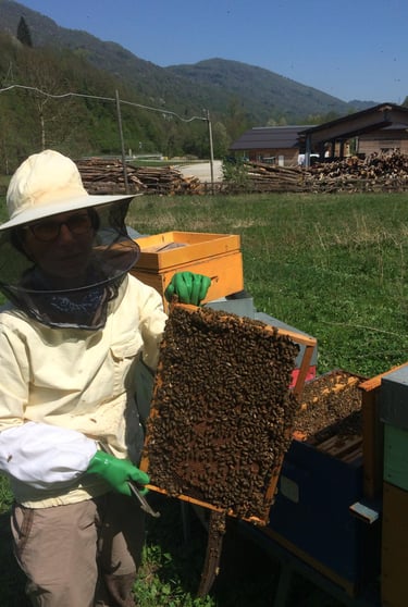 Laura con la tuta dell'apicoltore che regge un telaietto ricoperto di api in un prato