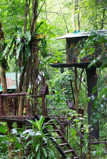 thailand khao sok national park cheow larn lake treehouse