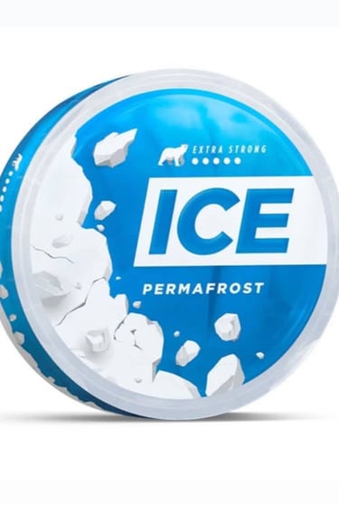 a container of ice cream with ice cream