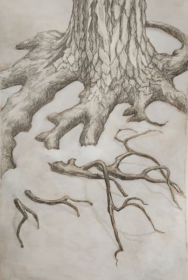 Tree roots in snow
