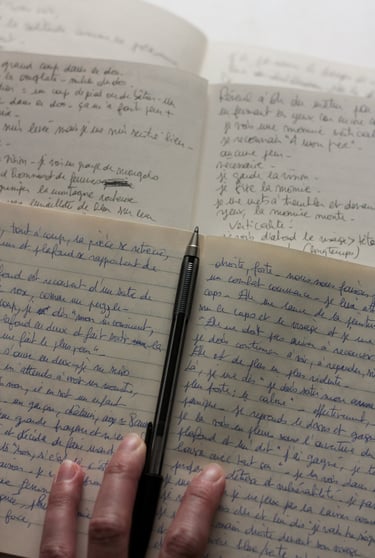 karine-nguyen-van-tham-carnets de bords des rêves et états de transes, artiste chercheuse