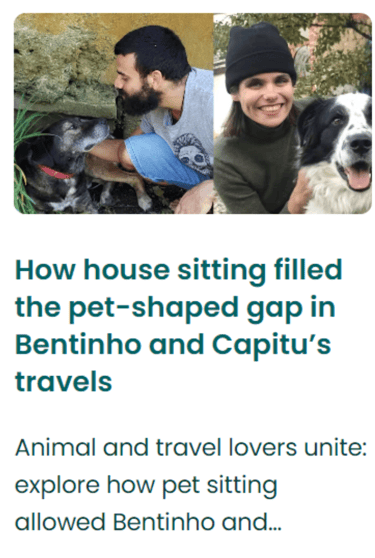 artigo TrustedHousesitters capitu e bentinho por ai