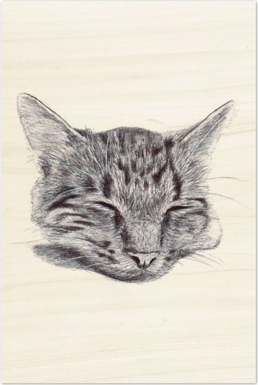 portrait de chat au stylo BIC imprimé bois FSC