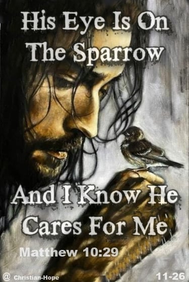 His Eye Is One The Sparrow