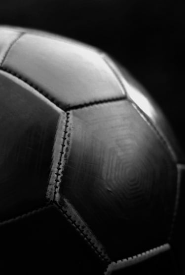 sport and education abroad