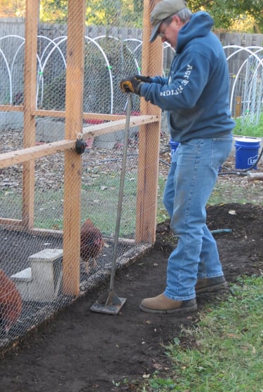Rat proofing the chicken coop