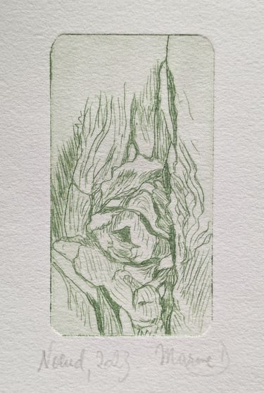 Noeud arbre gravure tetrapak