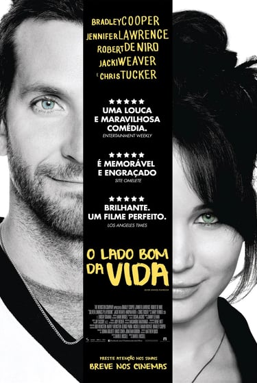 o lado bom da vida - filme