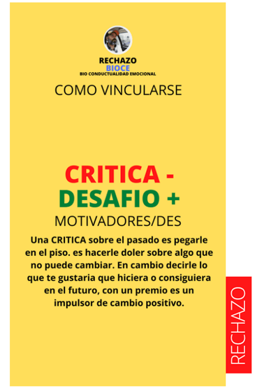 martin pe / coach