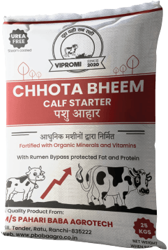 Best calf starter feed for fast growth - VIPROMI Chhota Bheem