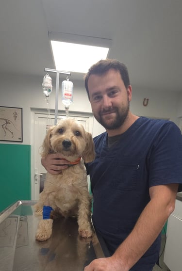 Dr spec. vet. med. Filip Božinovski