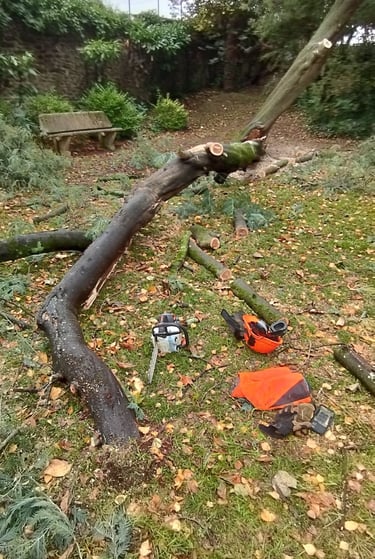 abattage arbre nantes entretien espaces verts jardin paysagiste