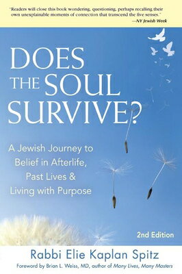 does the soul survive book cover