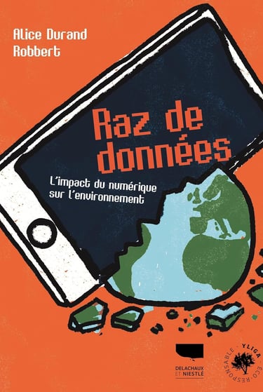 Première de couverture du documentaire Raz de donnée d'Alice Durand et Robbert