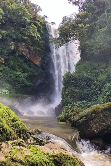 Elgin Falls