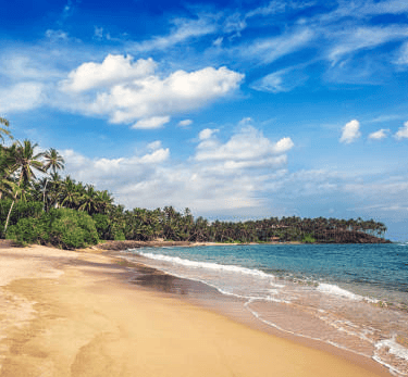 mirissa beach