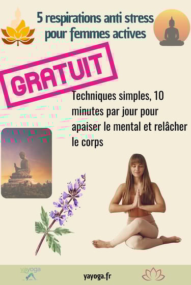 page couverure ebook. 5 respirations anti stress