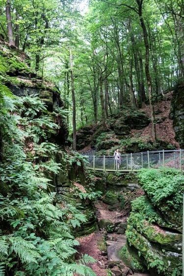 De Mullerthal wandelroute