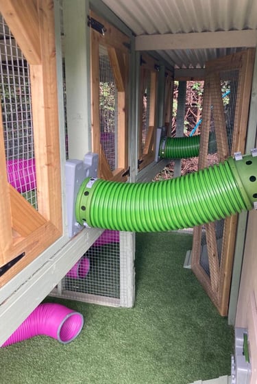 Omlet rabbit tunnel idea