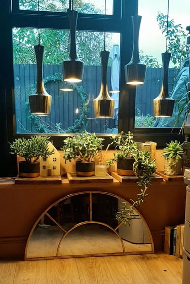 Potted jade plants on a windowsill illuminated by modern hanging pendant lights in a cozy interior.