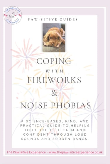 Coping with fireworks and noise phobias book cover 