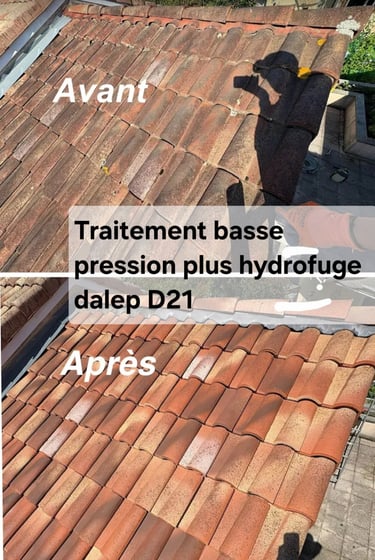 Travaux de démoussage de toiture en tuiles terre cuite 