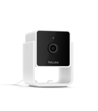 petcube security camera