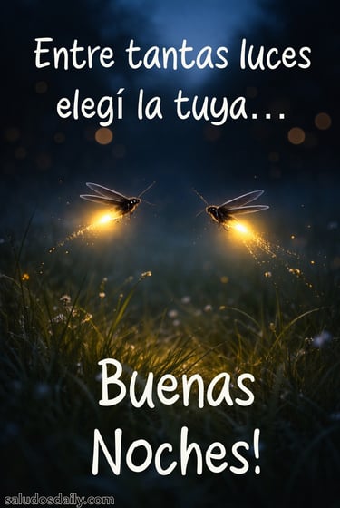 Ilustración nocturna de dos luciérnagas brillando suavemente mientras flotan en un campo oscuro