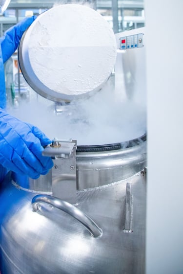 Vaporizing liquid nitrogen from the Biobank. CTIBIOBANK. Tissue sourcing.