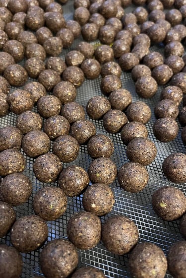 bouillettes de pêche a carpe