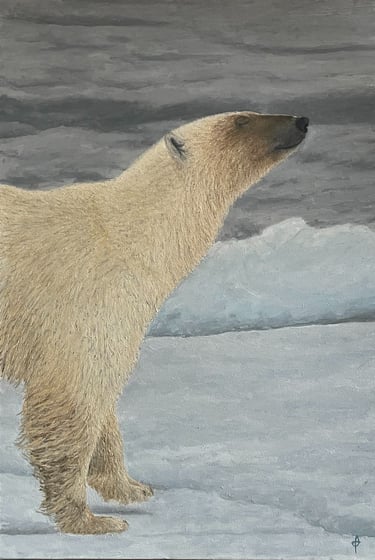 Tableau peinture à l'huile - Sur ma banquise