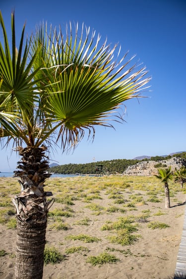 Iztuzu strand