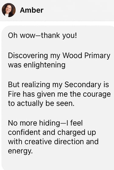 DM screenshot of Wood + Fire Archetype – Visionary entrepreneur celebrates discovering her strategic dual archetype