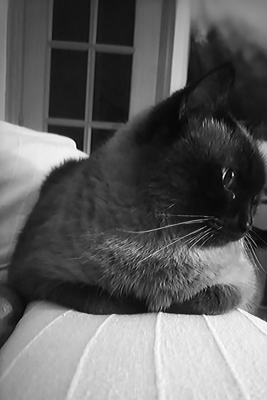 15º ClasificadoConcursillo Octubre 2025 BN