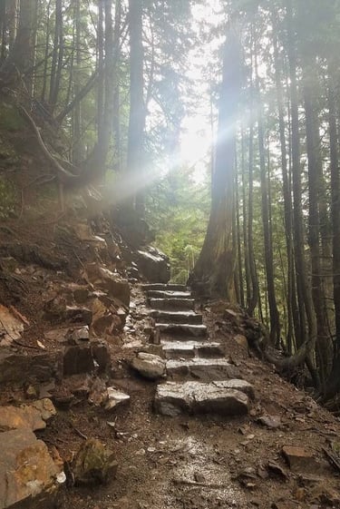 Snoqualmie, WA - The slippery stone steps leading down to Franklin Falls