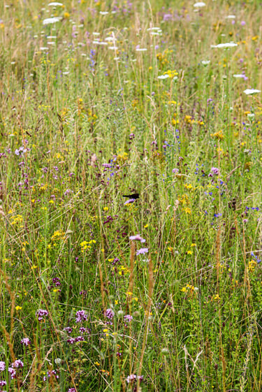 Minett Nature Reserve