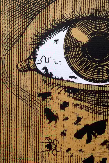 Sérigraphie insectes TAMAM Sérigraphie