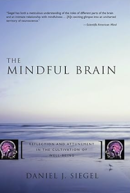 THE MINDFUL BRAIN by DANIEL J SIEGEL.