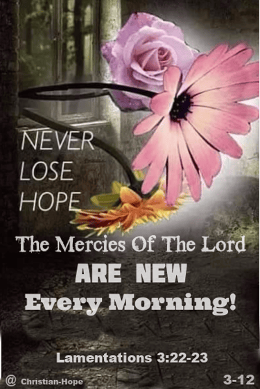 Never Lose Hope