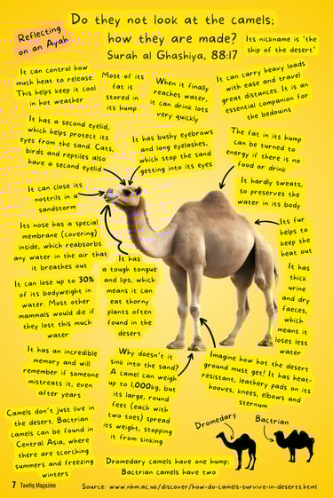 Tawfiq Issue 2
