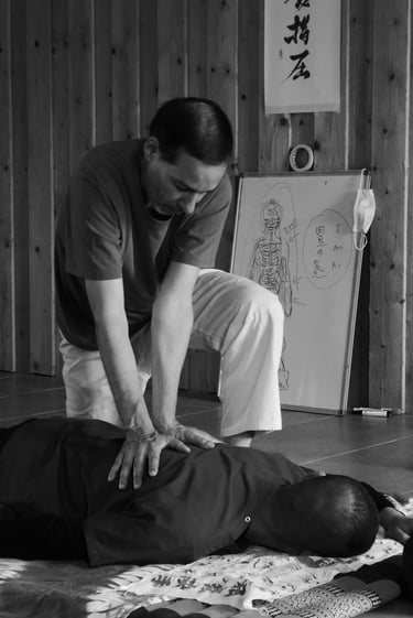 praticien shiatsu rennes